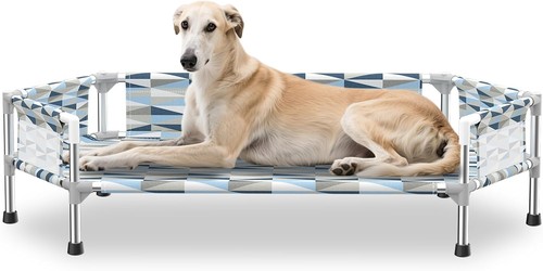 Orthopedic elevated dog - orthopedic,