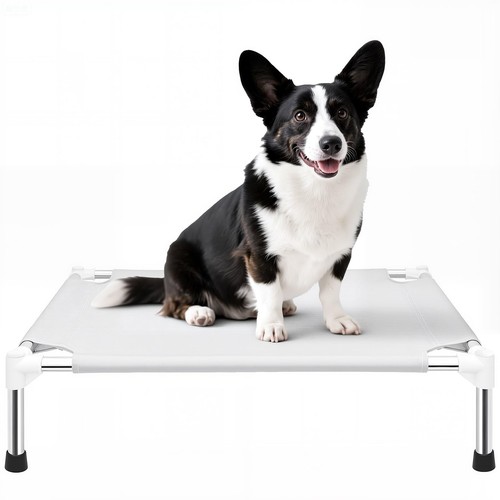 Elevated dog bed - dog,