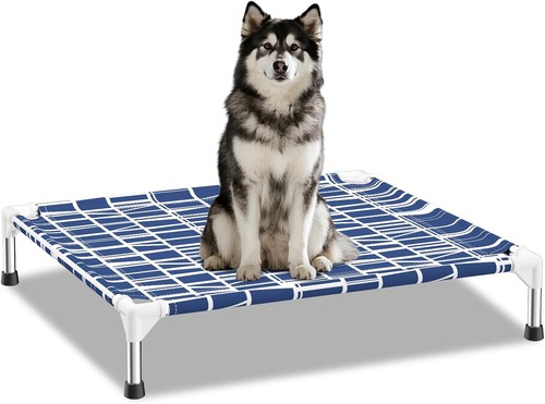Elevated dog bed - dog,