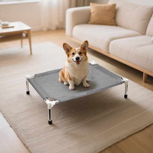 Outdoor elevated dog bed - elevated,